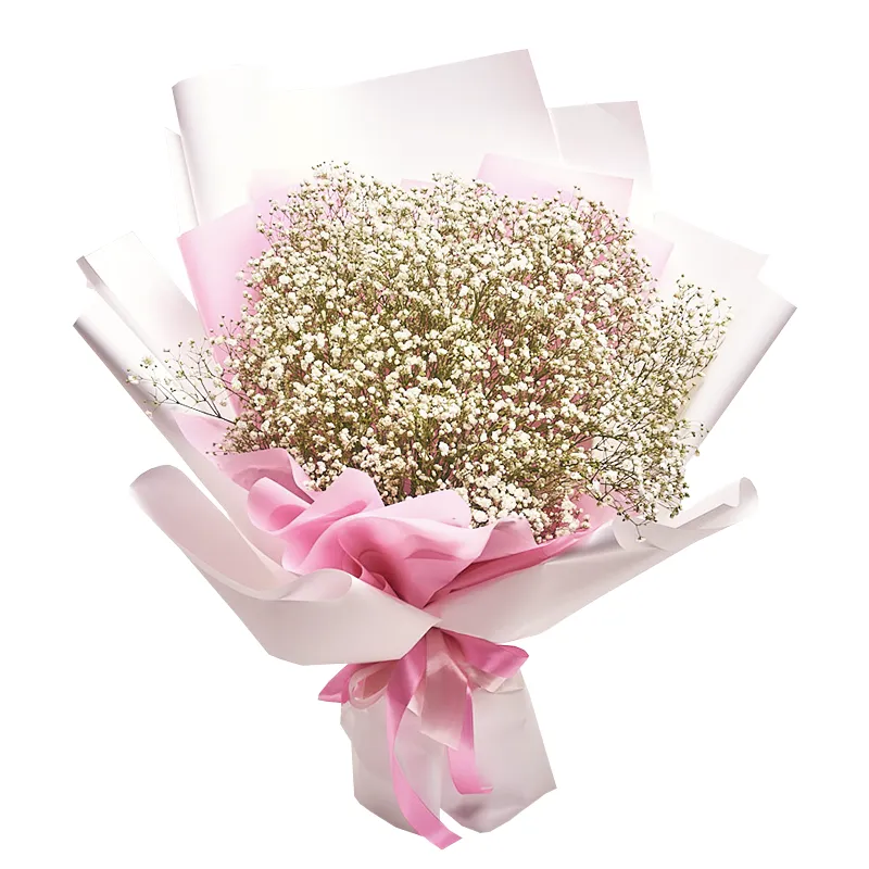 Букет из 11 белых гипсофил